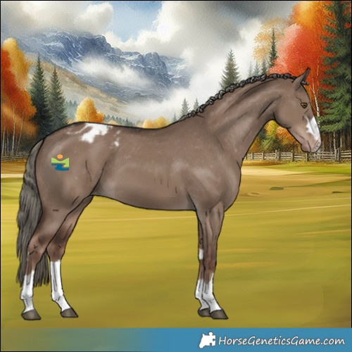 Horse Color:Liver Red Dun Mushroom Appaloosa 