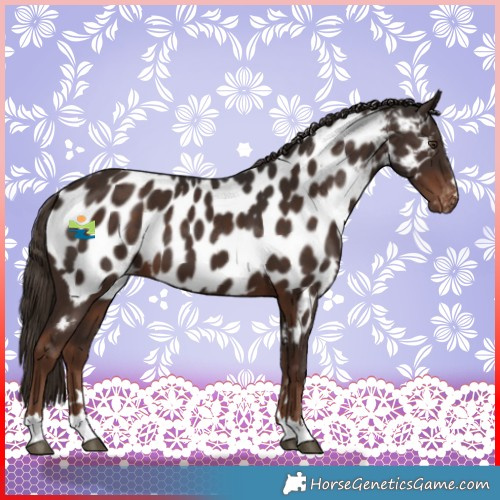 Horse Color:Liver Chestnut Near Leopard 