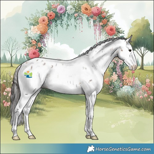 Horse Color:Bay Sabino
