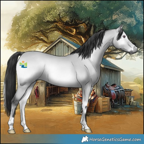 Horse Color:Gray Bay Chinchilla Onyx 