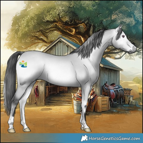 Horse Color:Gray Bay Chinchilla Onyx 