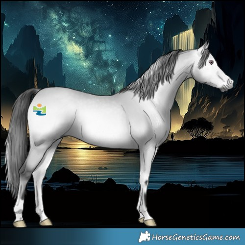 Horse Color:Gray Bay Chinchilla Onyx 