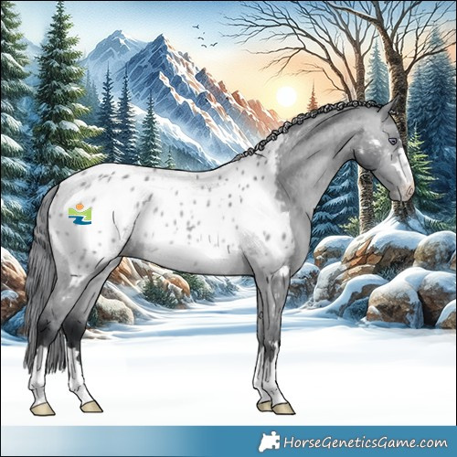 Horse Color:Bay Chinchilla Near Leopard 