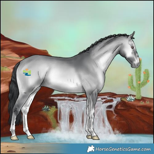 Horse Color:Bay Chinchilla Onyx 