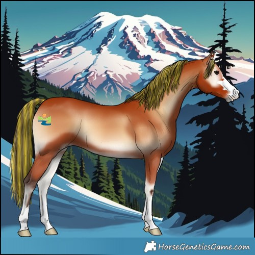 Horse Color:Painted Bay Onyx 