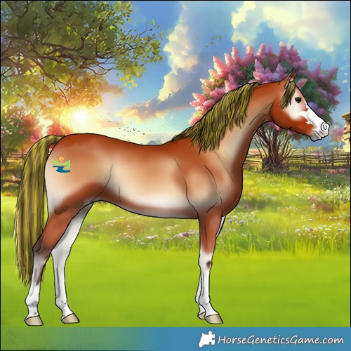 Horse Color:Painted Bay Onyx