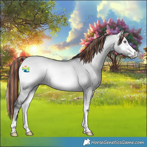Horse Color:Painted Bay Chinchilla Onyx 