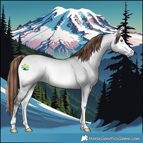 Horse Color:Painted Bay Chinchilla Onyx 