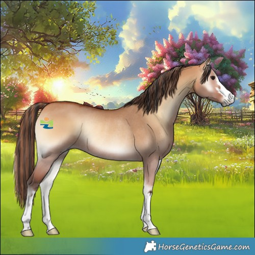 Horse Color:Painted Bay Onyx Rabicano 