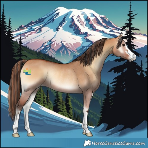 Horse Color:Painted Bay Onyx Rabicano 
