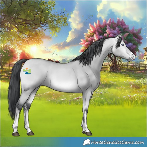 Horse Color:White Spotted Bay Chinchilla Dun