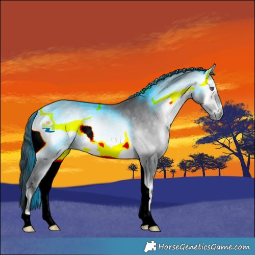 Horse Color:Bay Chinchilla Onyx 