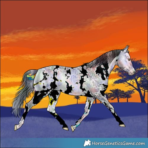 Horse Color:Nacre White Spotted Bay Chinchilla Ice Onyx 