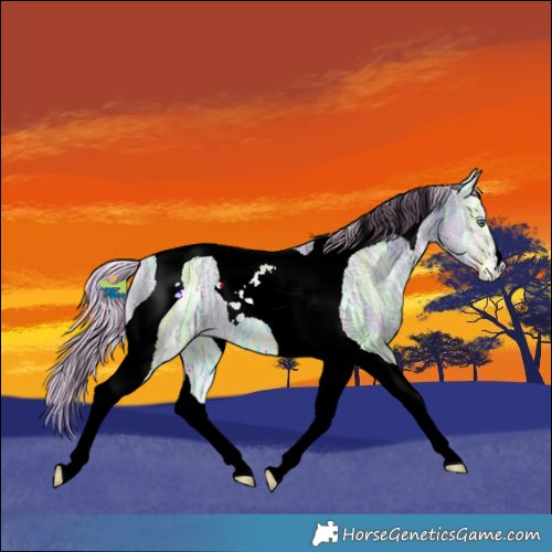 Horse Color:Painted Silver Bay Chinchilla Ice Onyx Tobiano 