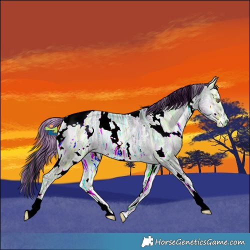 Horse Color:Painted White Spotted Bay Chinchilla Ice Onyx 