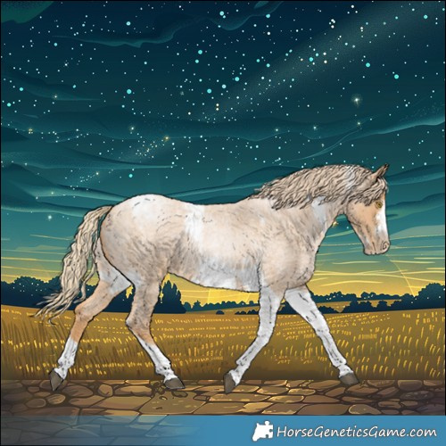 Horse Color:Red Roan Pearl Tobiano Frame 