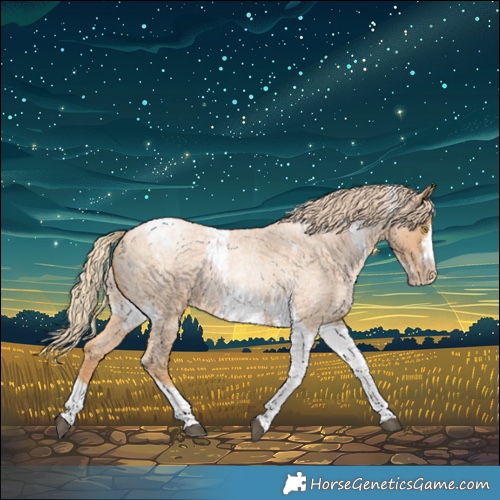 Horse Color:Red Roan Pearl Tobiano Frame 