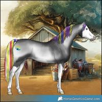 Horse Color:Gray Platinum Painted Silver Brown Chinchilla Onyx Splash Rabicano