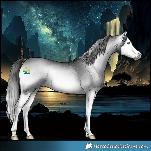 Horse Color:Gray Bay Chinchilla Onyx Splash 