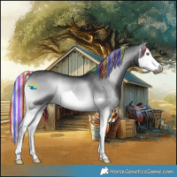 Horse Color:Gray Platinum Painted Silver Bay Chinchilla Onyx Splash Rabicano 
