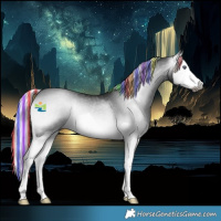 Horse Color:Gray Platinum Painted Silver Bay Chinchilla Onyx Splash Rabicano 