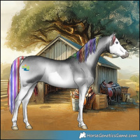 Horse Color:Gray Platinum Painted Silver Bay Chinchilla Onyx Splash Rabicano 