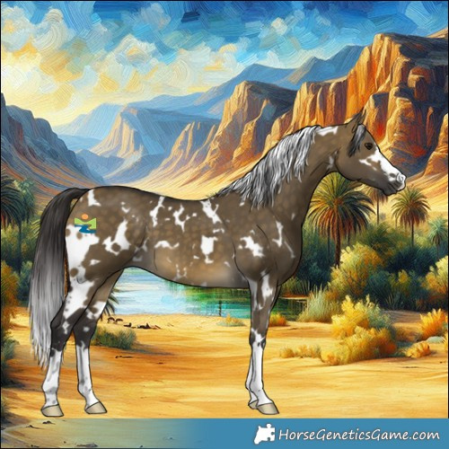 Horse Color:White Spotted Buckskin Dun 