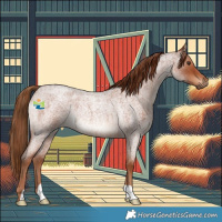 Horse Color:Red Roan Rabicano 