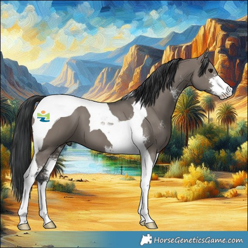 Horse Color:Grullo Sabino Tobiano 