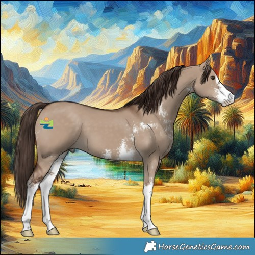 Horse Color:Liver Red Dun Sabino 