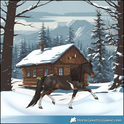 Horse Color:White Spotted Liver Chestnut Tobiano 