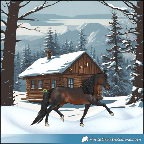 Horse Color:Brown 