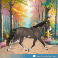Horse Color:Brown Dun Mushroom Sabino Varnish Rabicano