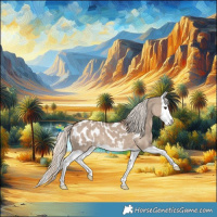 Horse Color:Liver Red Dun Mushroom Splash Blanket 