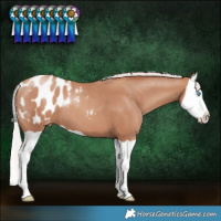 Horse Color:Silver Classic Champagne Splash Blanket