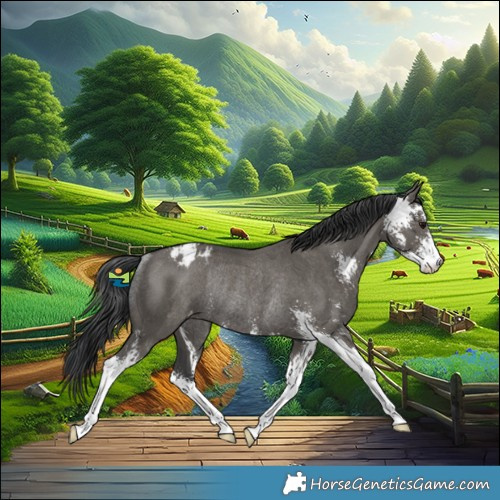 Horse Color:Grullo Sabino Appaloosa Rabicano 
