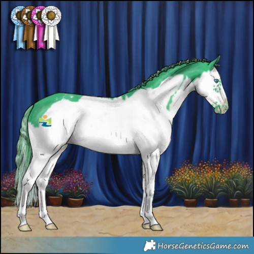 Horse Color:Watercolor Smoky Black Sabino Splash Frame Appaloosa 