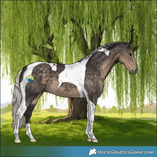Horse Color:Silver Smoky Black Tobiano 