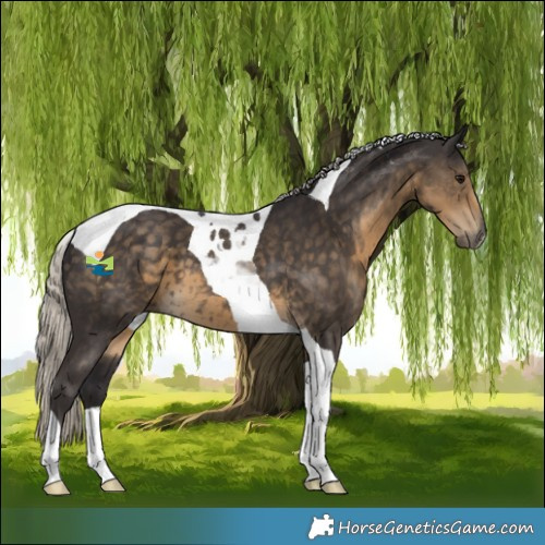 Horse Color:Silver Smoky Black Tobiano 