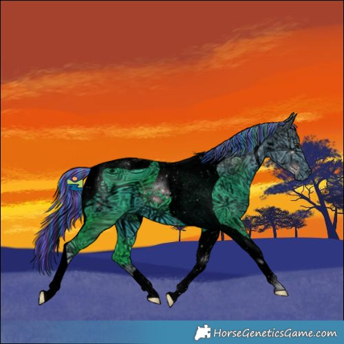 Horse Color:ERROR: UNKNOWN ANOMALY