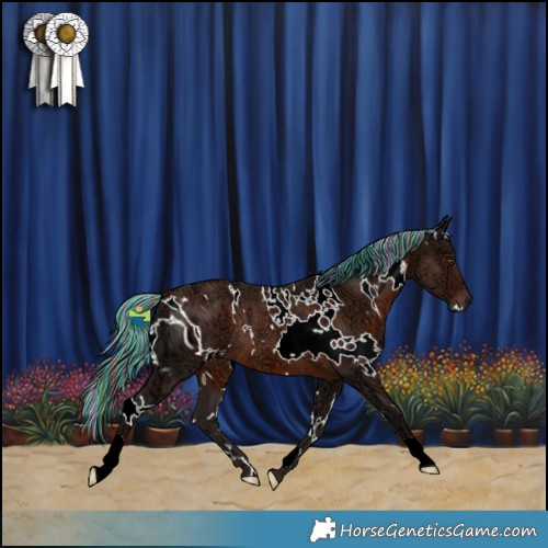 Horse Color:ERROR: UNKNOWN ANOMALY