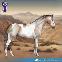 Horse Color:Gray Red Dun Tobiano 