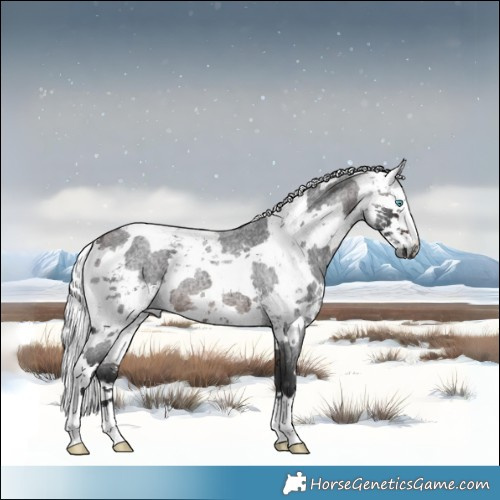 Horse Color:Brown Roan Harlequin Merle 
