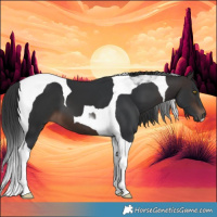 Horse Color:Brown Tobiano