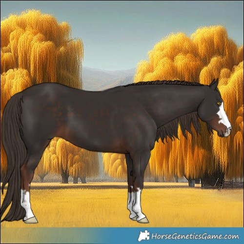 Horse Color:Liver Chestnut
