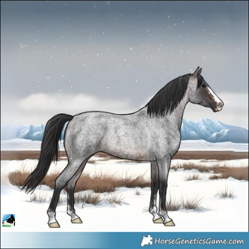 Horse Color:Brown Roan Rabicano 