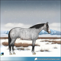 Horse Color:Brown Roan Rabicano 