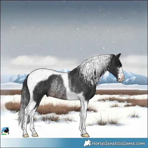 Horse Color:Brown Tobiano Rabicano 