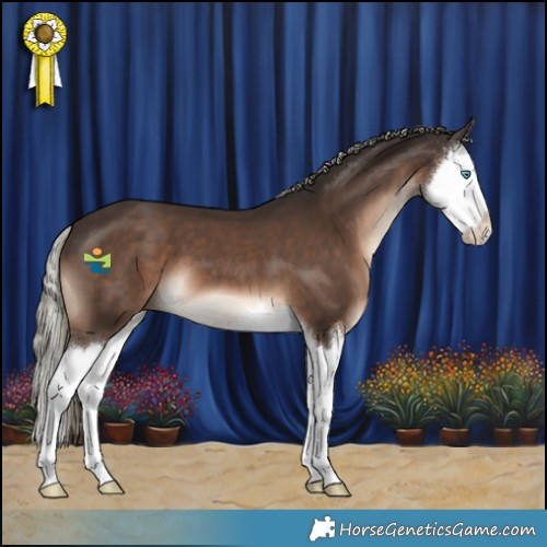 Horse Color:Liver Chestnut Mushroom Splash 
