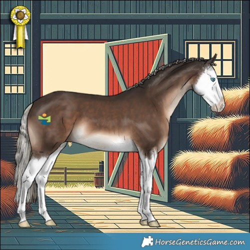 Horse Color:Liver Chestnut Mushroom Splash 
